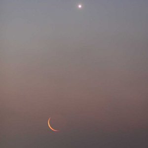 Mond Venus Konjunktion 29_1_2014 Bild_1.jpg