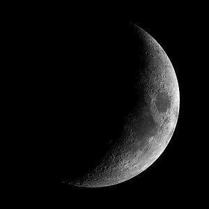 Mondmosaik 04.02.2014