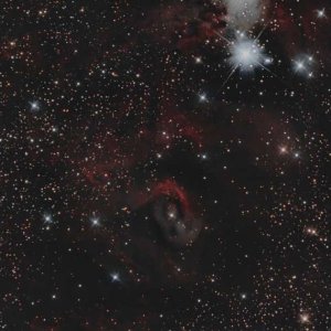 unterhalb NGC 2264