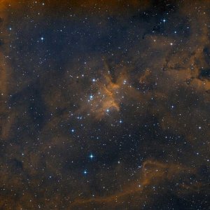 IC1805_WEB1200.JPG