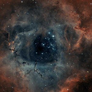 NGC2244 in bicolor