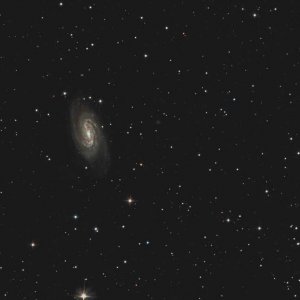 NGC 2903