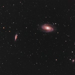M81 & M82 & SN2014J