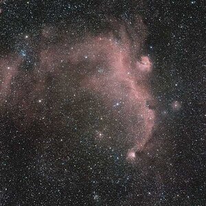 IC 2177 - Möwen-Nebel