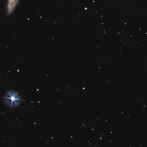 Leo Triplett