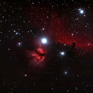 IC 434, Pferdekopfnebel