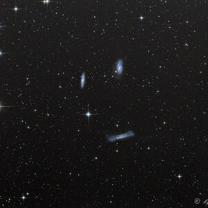 Leo Triplet (M65, M66)