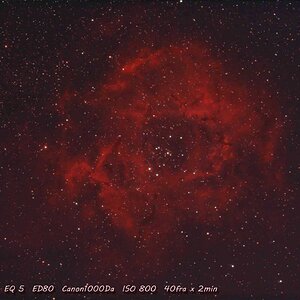 NGC 2244