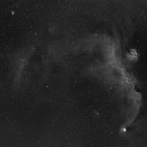 SeagulNebula_Ha.jpg