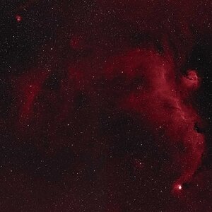 SeagulNebula_Ha_rot.jpg