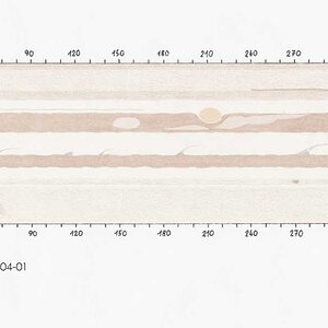 Zeichnung - Jupiterkarte, Ende März 2014