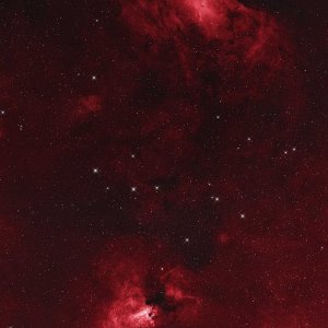 M16_M17_Rot_ADE.jpg
