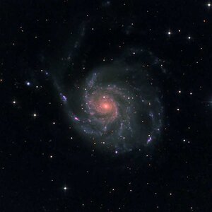 M101