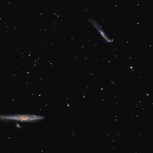 Wal und Hockey Galaxie