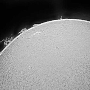Sonne 31.Mai