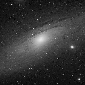 erster M31