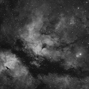 IC 1318 in Ha