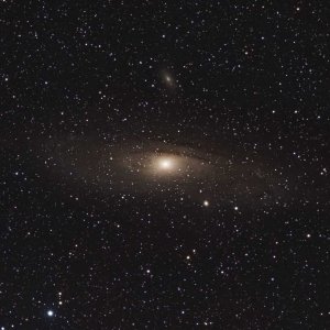 M31