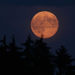 Supermond vom 10.08.14