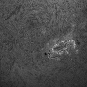 Sonnenfleck 2152 in H-alpha und sw