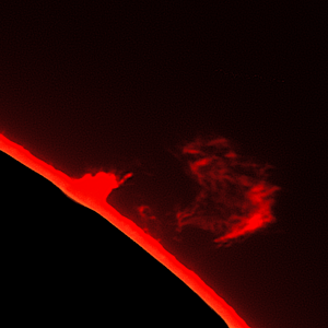 Protube  B1   08 09 14..png