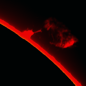 Protube  B1   08 09 14 + 13 min.png