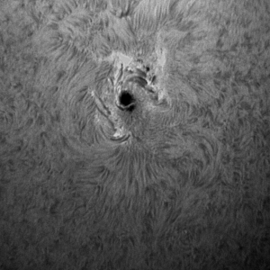 Sonnenfleck 2158 vom 08.09.  in H-alpha und sw