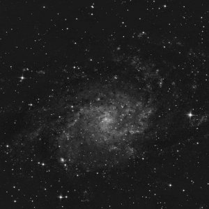 M33