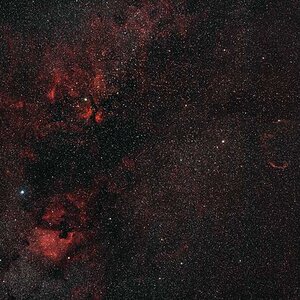 Cygnus Widefield