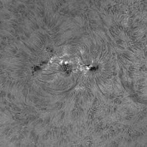 20140927_S01_092924_..._Denois.jpg
