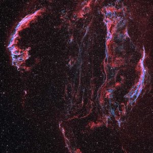 Cirruskomplex_Bicolor_720Pixel.jpg