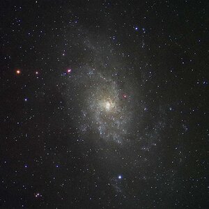 M33