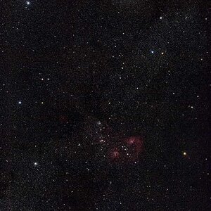 Fuhrmann Widefield