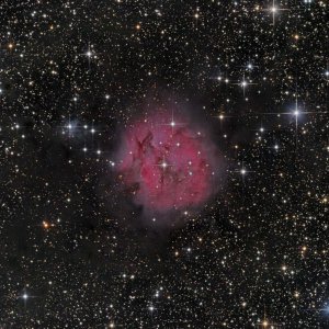 IC5146_500.jpg