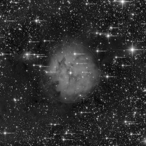 IC5146_L_500.jpg