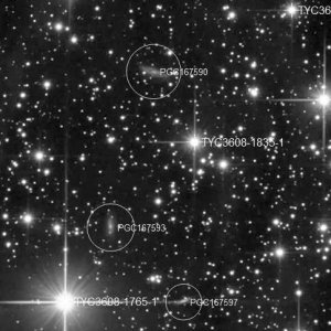 IC5146_100Crop.jpg