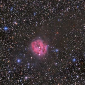IC5146a.jpg
