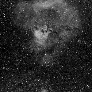 Erster Test  Canon 200mm & ATIK 383