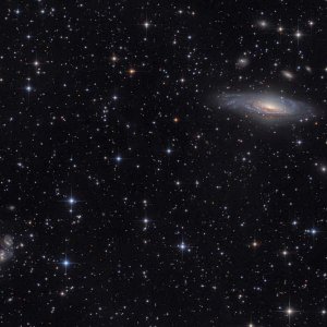 NGC7331