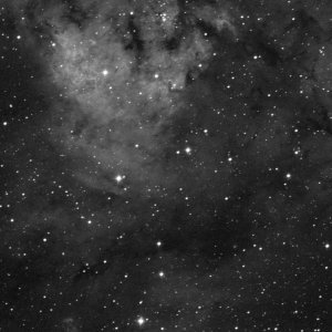 200mm_3.jpg