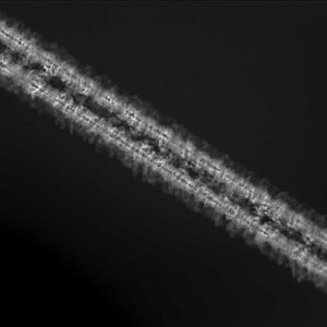 Schneller Nebel um Deneb