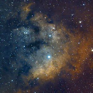 NGC7822 Bicolor