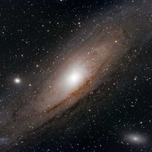 M31