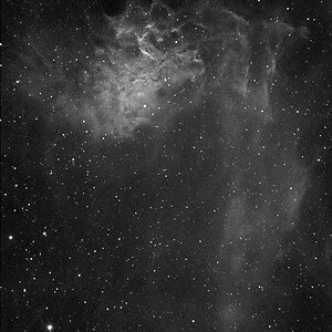 IC 405, Einzelaufnahme mit  ED80