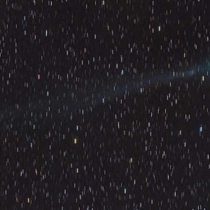 Lovejoy8Jan15.jpg