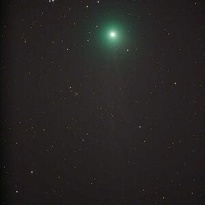 Lovejoy