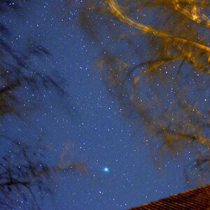 Lovejoy aus der Stadt
