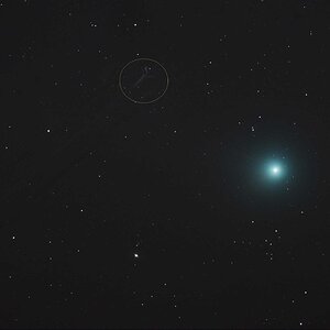 Lovejoy mit Geisterflieger