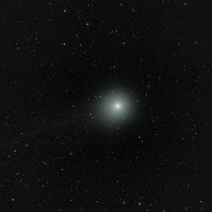 Lovejoy am 17.Jan. 2015
