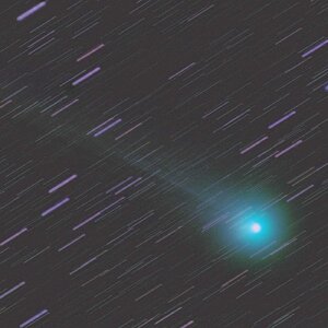 Lovejoy von Samstag
